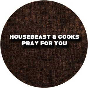 收聽House Beast的Pray for You (feat. Cooks)歌詞歌曲