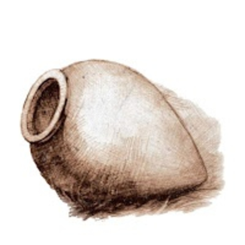 Kvevrispiruli
