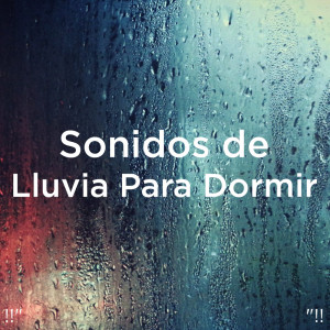 Listen to Rain Sound song with lyrics from Meditation Rain Sounds