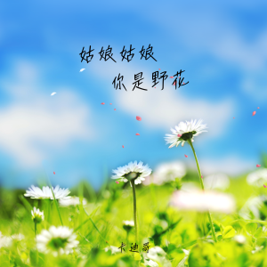 卡迪哥的专辑姑娘 姑娘你是野花