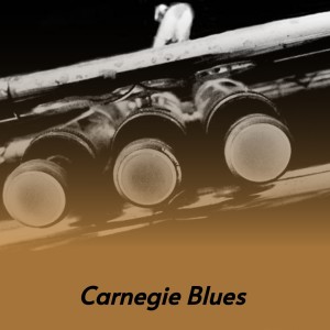 Album Carnegie Blues (Explicit) from Various