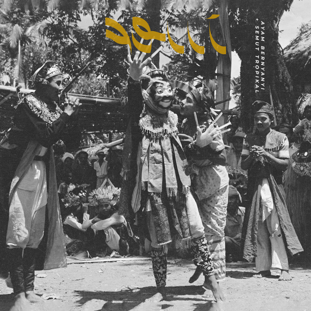 Semut Tropikal