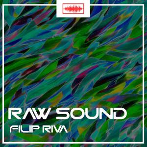 Album Raw Sound from Filip Riva