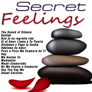 Secret Feelings dari The Love band
