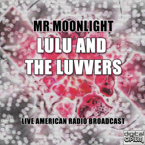 Lulu And The Luvvers的專輯Mr Moonlight (Live)