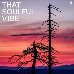 Various Artists的專輯That Soulful Vibe