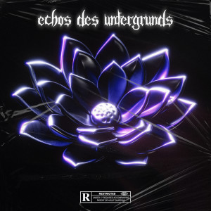 Deez的专辑ECHOS DES UNTERGRUNDS