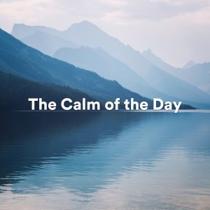 The Calm of the Day (Atmospheric piano music) dari Background Music Experience