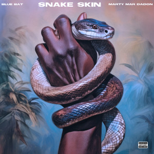 Album Snake Skin (Explicit) from 