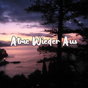 Album Atme Wieder Aus oleh Schleini