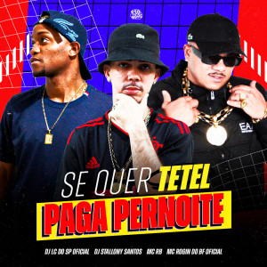 收聽Stallony Santos的Se Quer Tetel Paga Pernoite (Explicit)歌詞歌曲