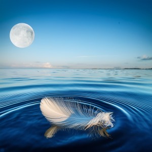 收聽Blissful Meditation Music Zone的Circles Drawn In Ambient Dust歌詞歌曲