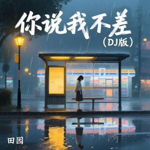 Album 你说我不差 (DJ版) from 田园