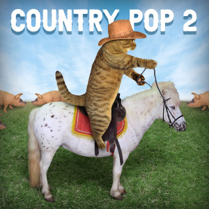 Various Artists的專輯Country Pop 2