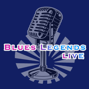Dengarkan lagu Speak My Mind (Live) nyanyian J.B. Hutto dengan lirik