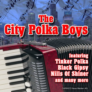 收聽The City Polka Boys的It Took Me All Night歌詞歌曲