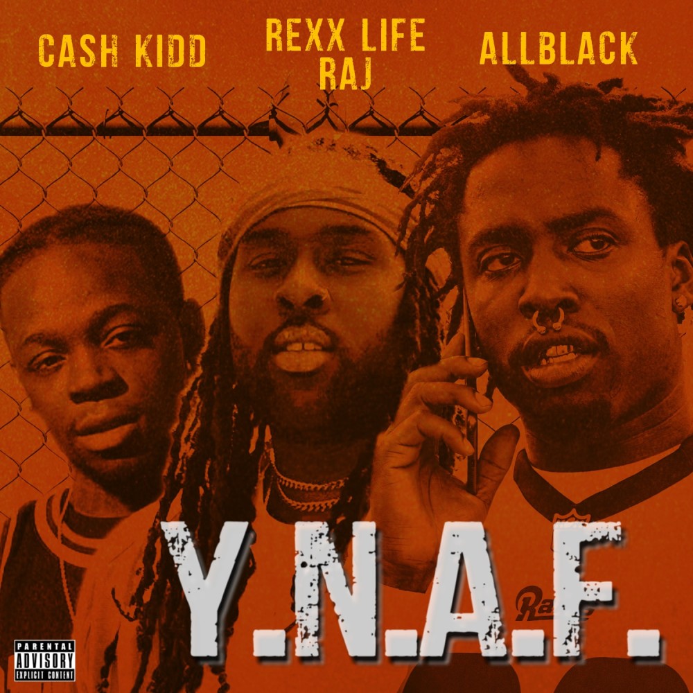 Y.N.A.F. (Explicit)