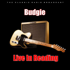ดาวน์โหลดและฟังเพลง Wildfire (Live) พร้อมเนื้อเพลงจาก Budgie