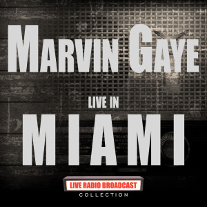 收聽Marvin Gaye的Ain't No Mountain High Enough (Live)歌詞歌曲