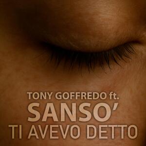 Album TI AVEVO DETTO (feat. Sansò) from Tony Goffredo