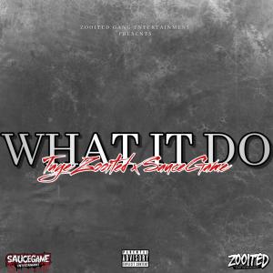 Taye Zooited的專輯What It Do (feat. Sauce Game) [Explicit]