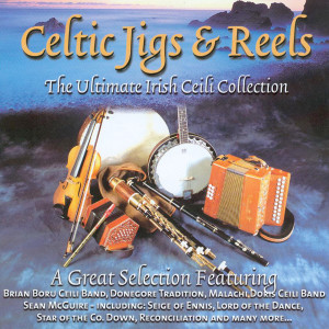 ดาวน์โหลดและฟังเพลง Rince Mor / The Mooncoin / The Sally Gardens / Colonel Rodney / Maid Behind the Bar พร้อมเนื้อเพลงจาก Donegore Tradition