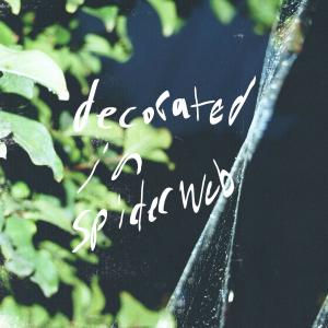 Vide的專輯Decorated in spiderweb