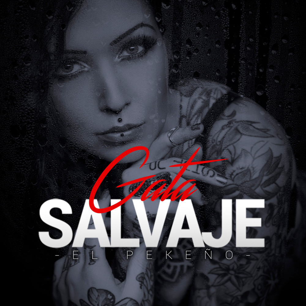 Gata Salvaje