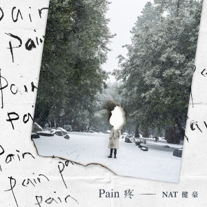 Listen to Pain song with lyrics from NAT健豪