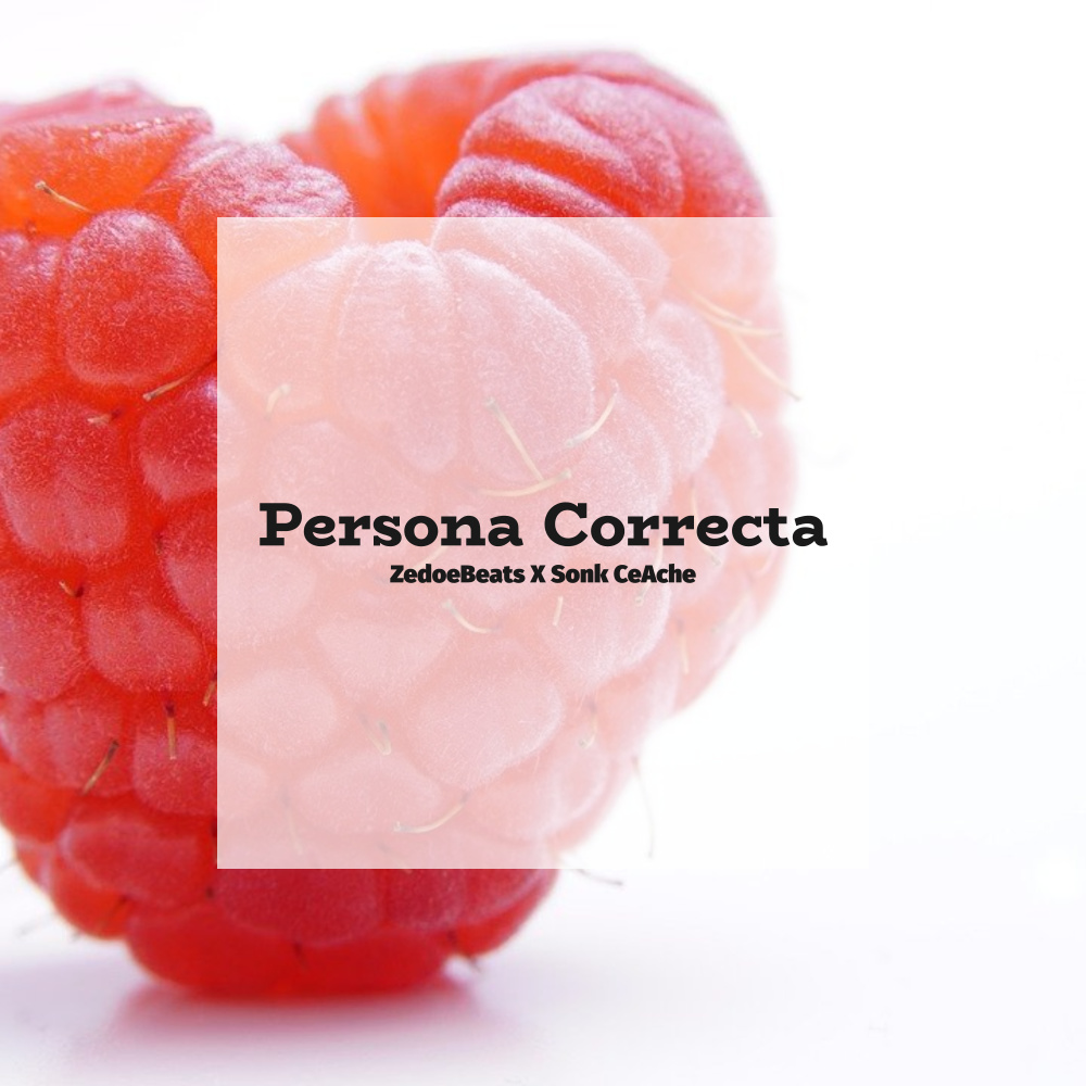 Persona Correcta