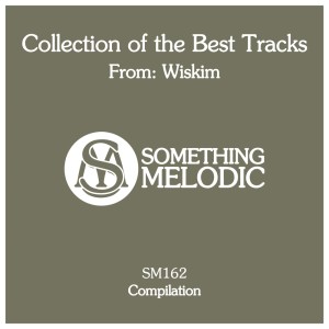 Listen to Monsters song with lyrics from Wiskim