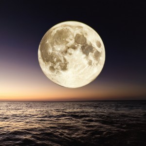 Asistente musical de calma的專輯Serenata De Calma Nocturna: Tonos Suaves Para Noches De Descanso