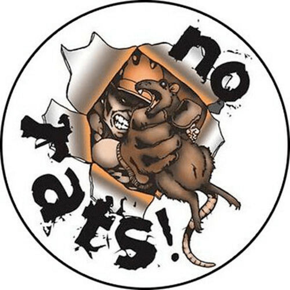 Killing The Rats (Freestyle) (Explicit)