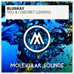 Album You & I (Secret Lovers) oleh BluSkay