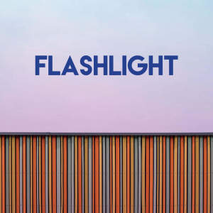 Listen to Flashlight song with lyrics from Sassydee