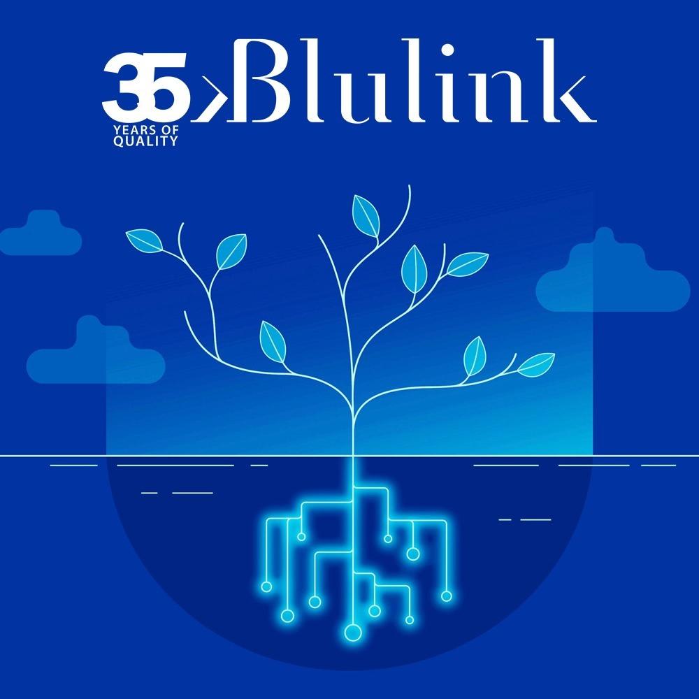 Rhythms of the Earth (feat. Blulink & GRADE)