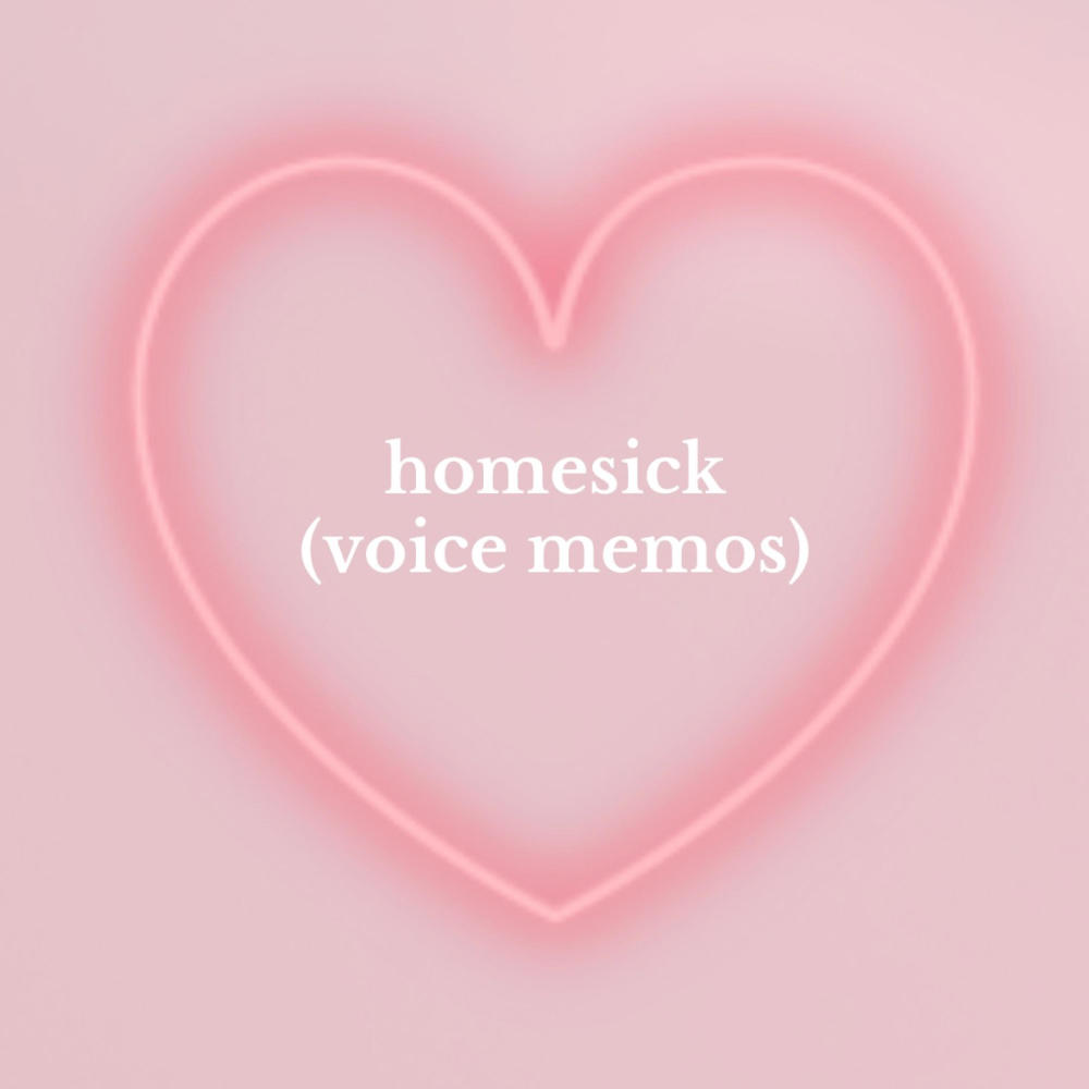 i know too much (voice memo) [bonus track]
