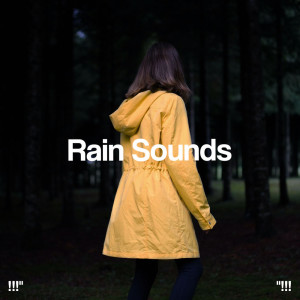!!!" Rain Sounds "!!!