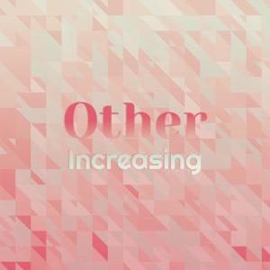 Various Artists的專輯Other Increasing