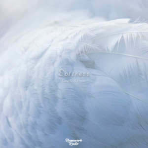 Album Softness from Deep In A Dream