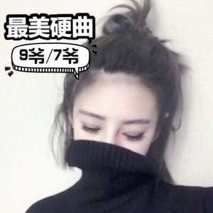 อัลบัม 最美硬曲（Remix） ศิลปิน 9爷