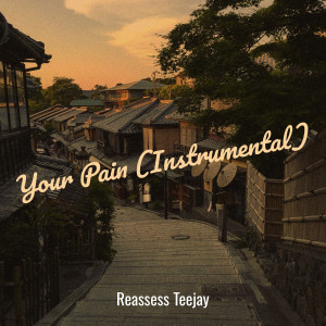 Album Your Pain (Instrumental) from Reassess Teejay