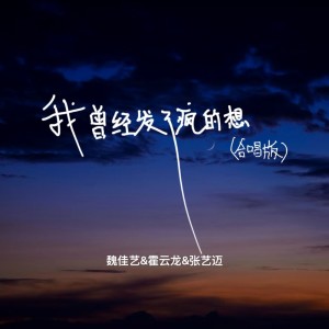Dengarkan lagu 我曾经发了疯的想 (合唱版) nyanyian 魏佳艺 dengan lirik