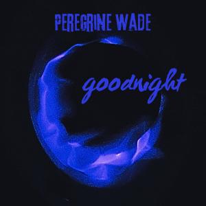ดาวน์โหลดและฟังเพลง Goodnight (feat. Musiversal) พร้อมเนื้อเพลงจาก Peregrine Wade