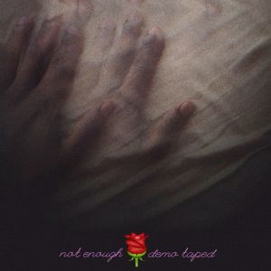 收聽Demo Taped的Not Enough歌詞歌曲