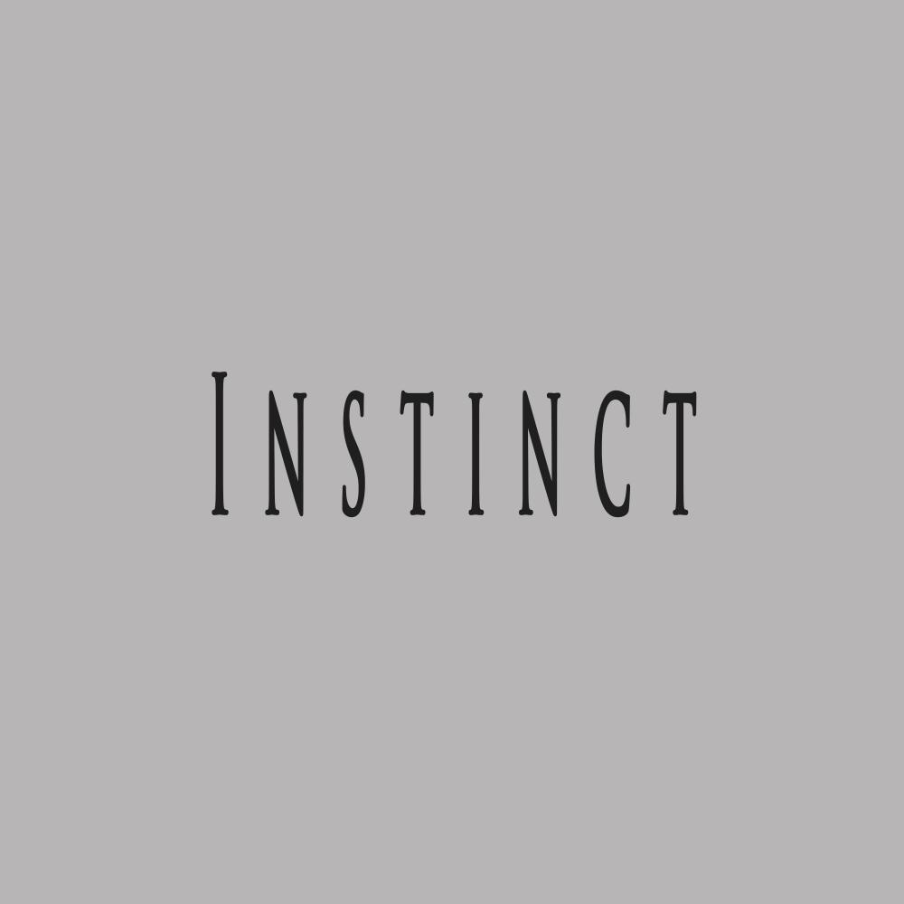 Instinct (feat. Sadikbeatz)