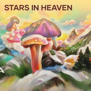 收聽Austin Cole的Stars in Heaven歌詞歌曲