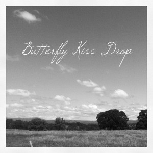 Album Butterfly Kiss Drop (feat. Justin Sabbetius & Steven Seagal) from Rob Deez