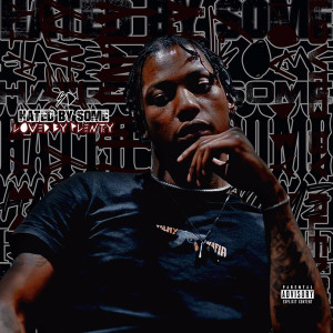 Sd的專輯Hated by Some, Loved by Plenty (Explicit)
