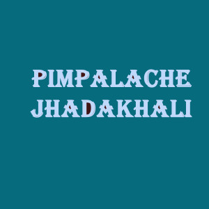 Album Pimpalache Jhadakhali from PARESH PAWAR